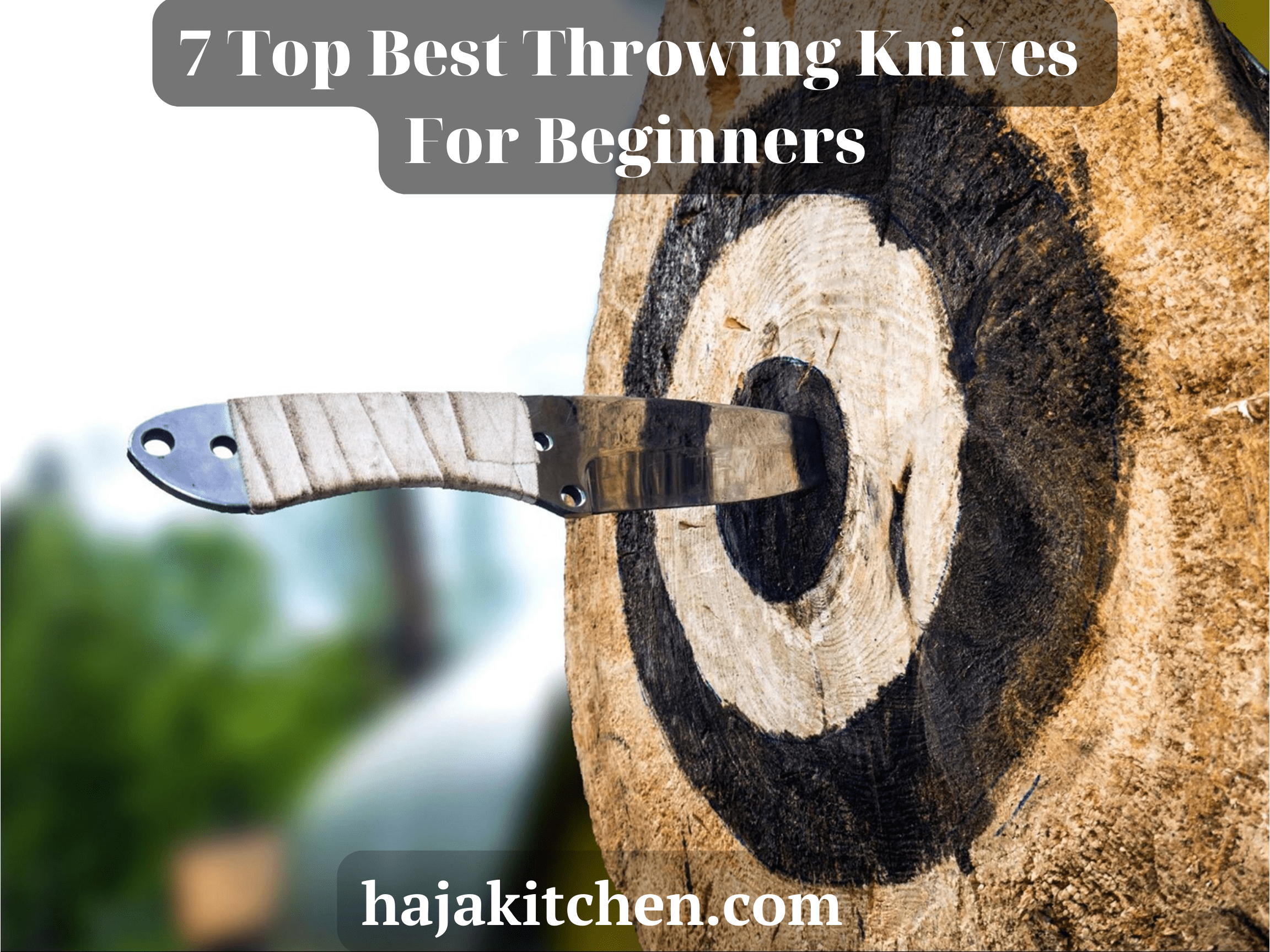 7 Top Best Throwing Knives For Beginners In 2023