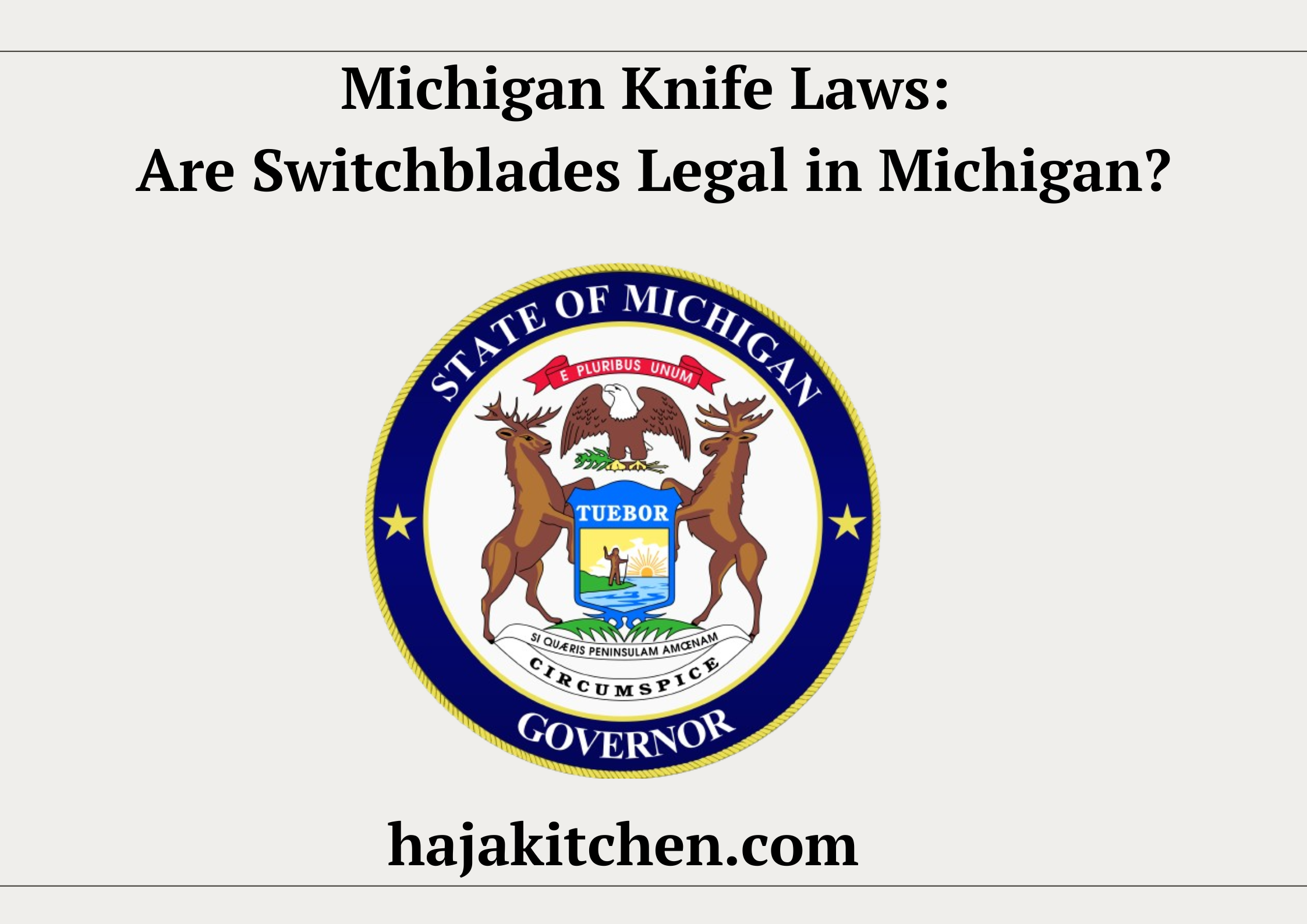 Michigan Knife Laws Are Switchblades Legal in Michigan