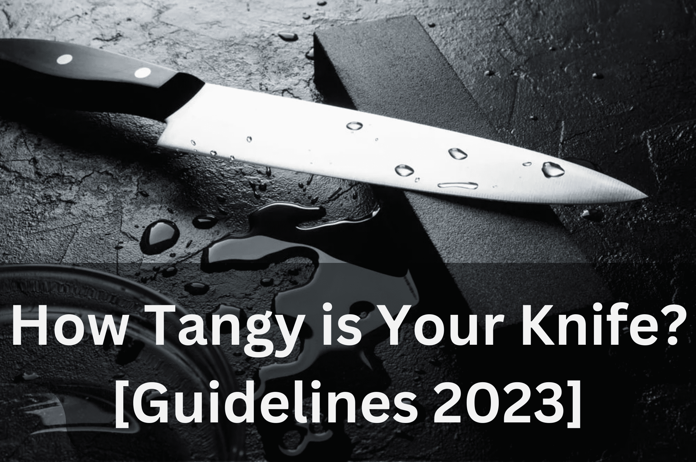 How Tangy is Your Knife? Read our new Guidelines 2023