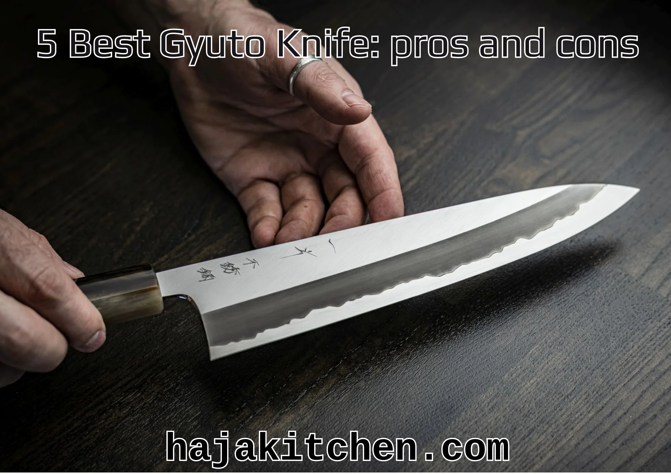 5 Best Gyuto Knife pros and cons