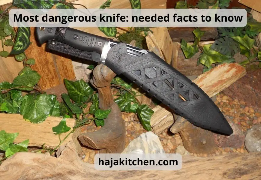 Most dangerous knife: needed facts to know