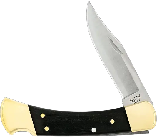 4. Buck Knives 110 Folding Hunter Lock-back Knife