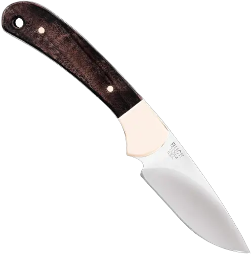 2. Buck Knives 113 Ranger Skinner Fixed Blade Hunting Knife